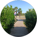 Carine T. profile picture